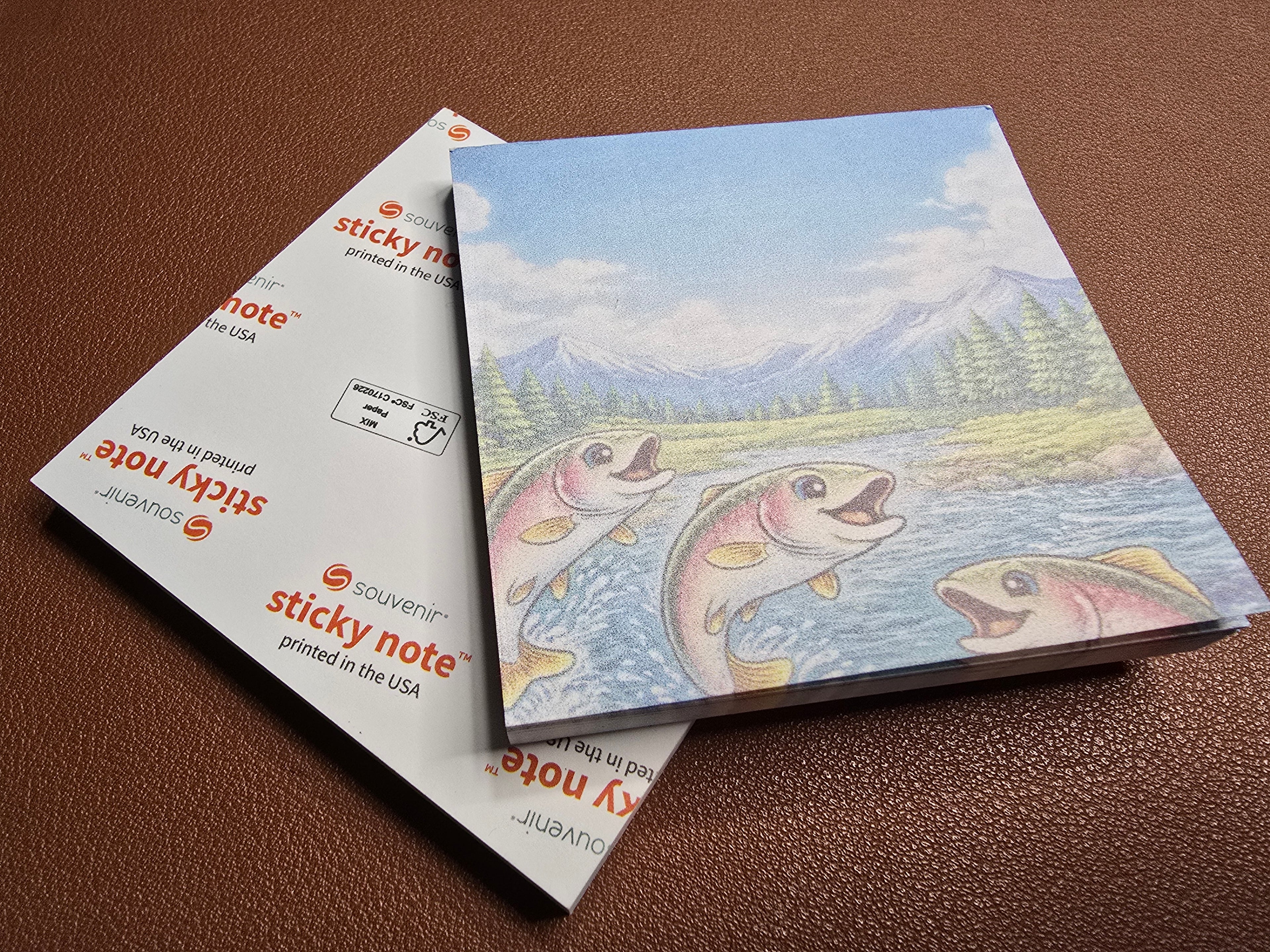 River Fun 3"x 3" Sticky Notes - River Fun Collection